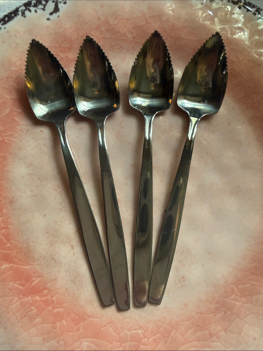 Stainless Steel grapefruit, spoons - Set of 4